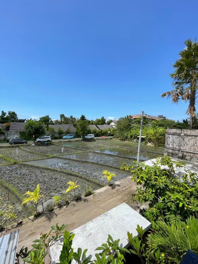 Tyana Private Room In Batu Bolong 26 Canggu Zewnętrze zdjęcie